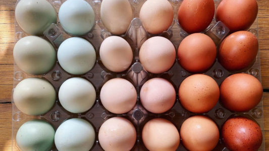 Δεν θα πιστεύεις τι χρώμα έχει ο κρόκος αυτών των αυγών!